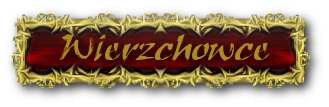 wierzchowce.png